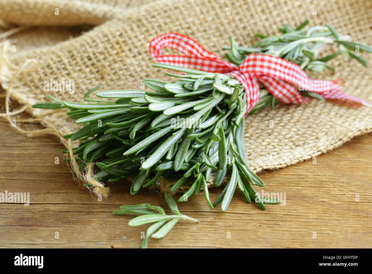 Зелень розмарин