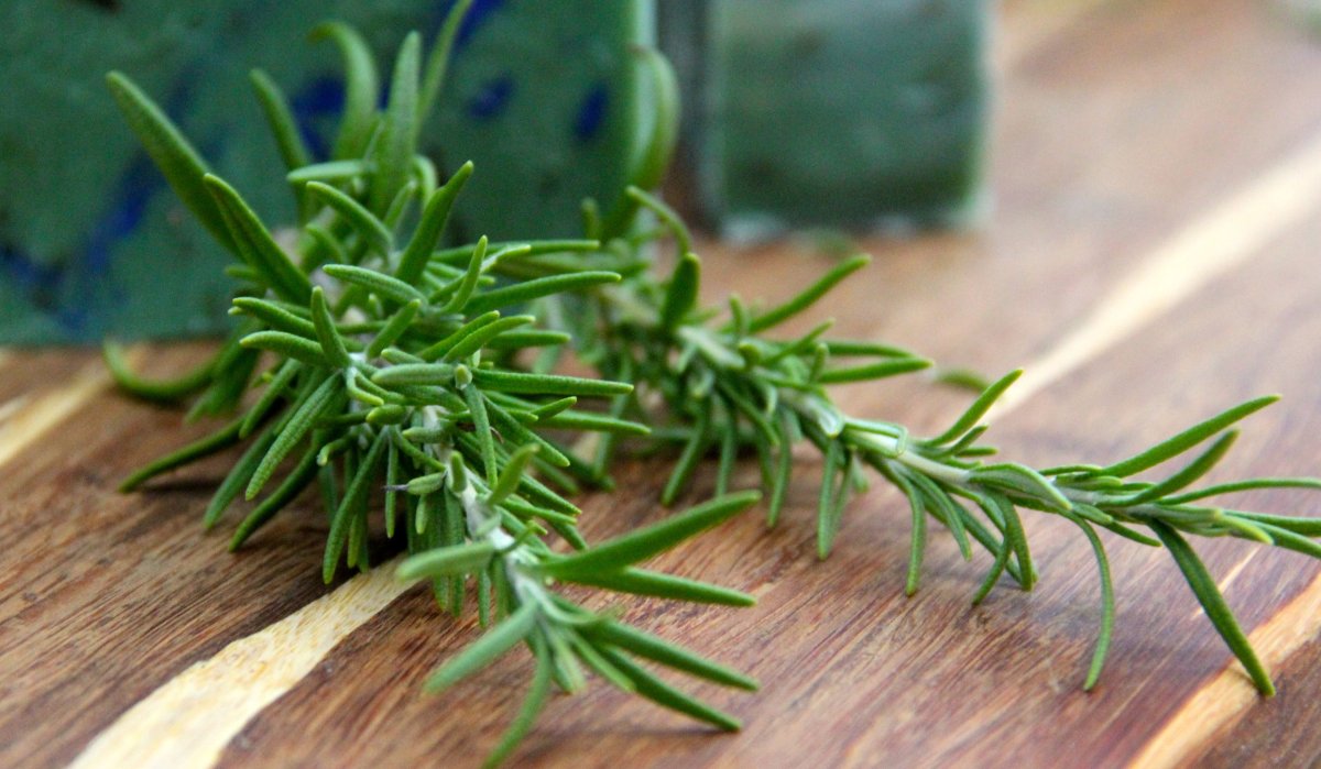 Розмарин Ореховый