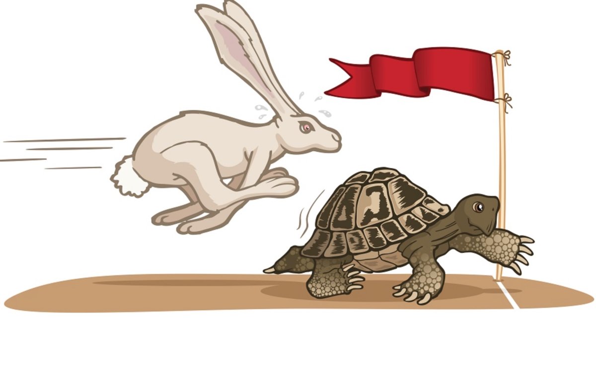 Тише едешь дальше будешь