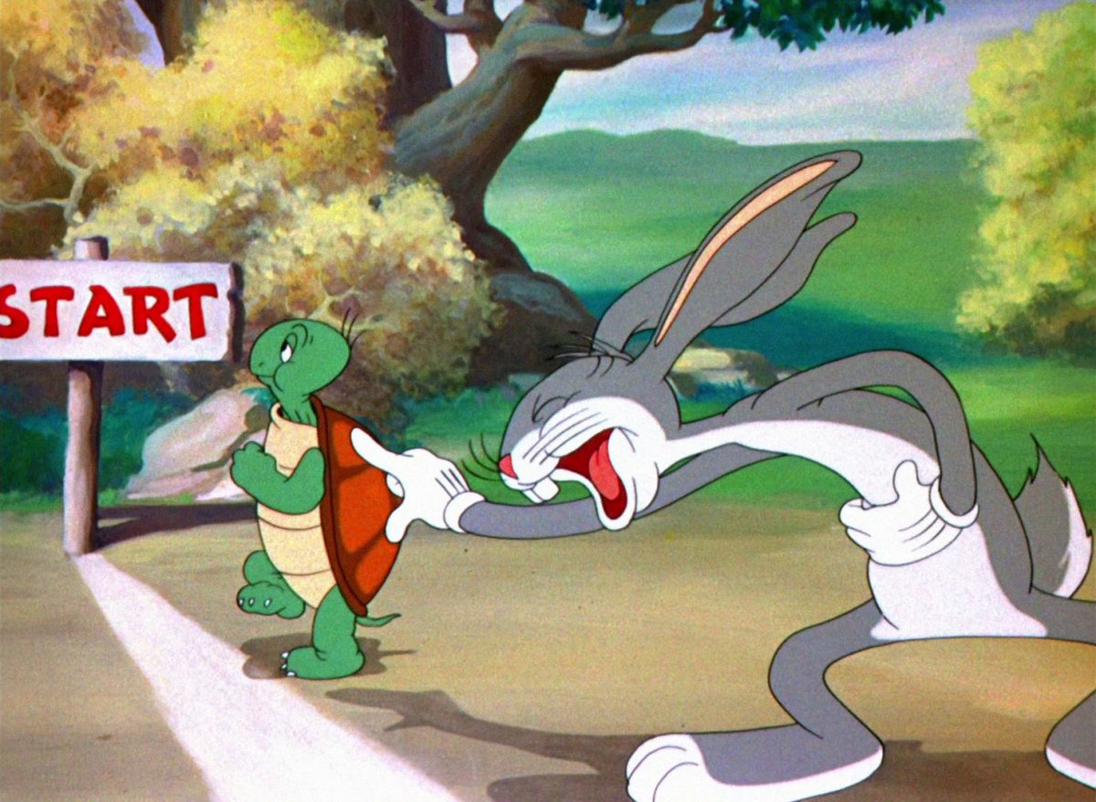 Черепаха хвост поджала и за зайцем