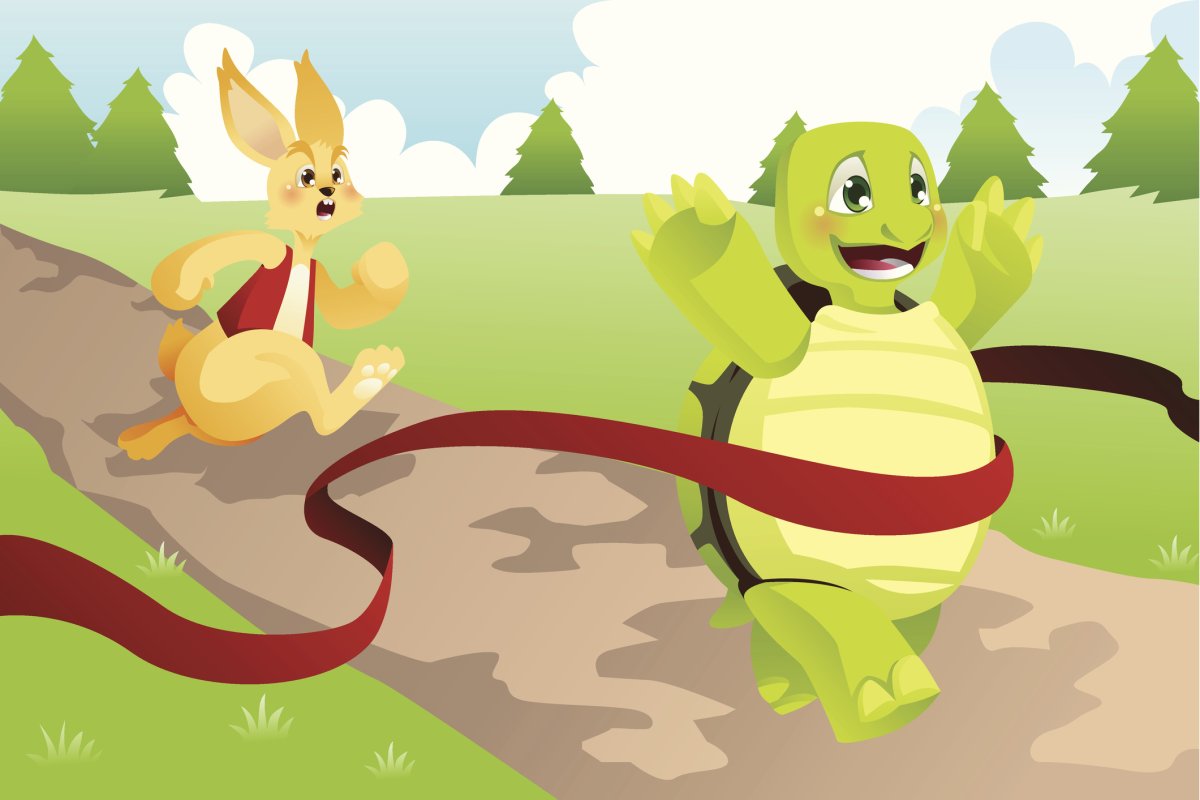 Едет на черепахе