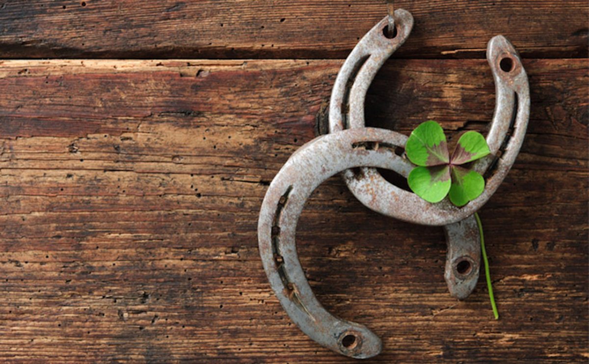 Черная кошка на дороге