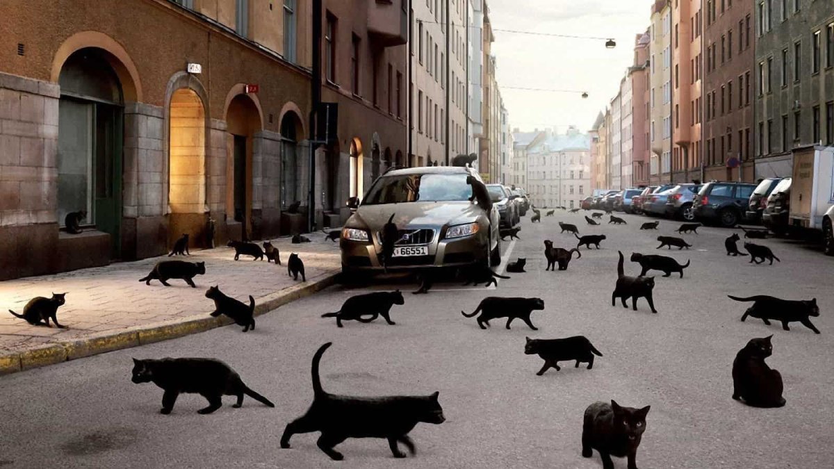 Пятница, 13 число