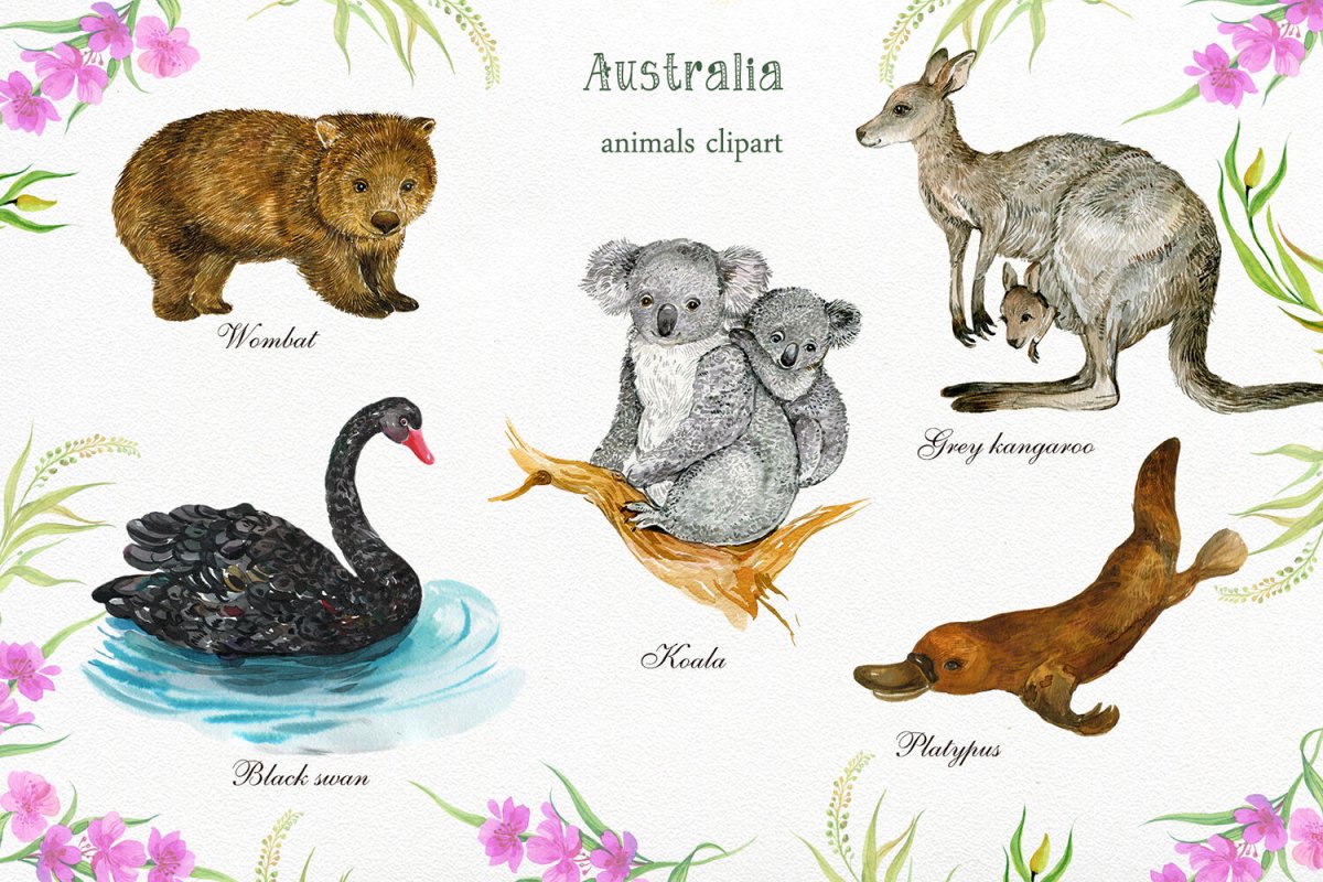 Australian animals for Kids