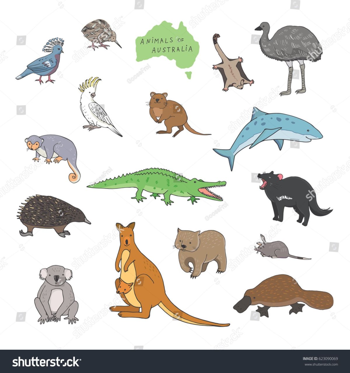 Животные Австралии картинки для детей