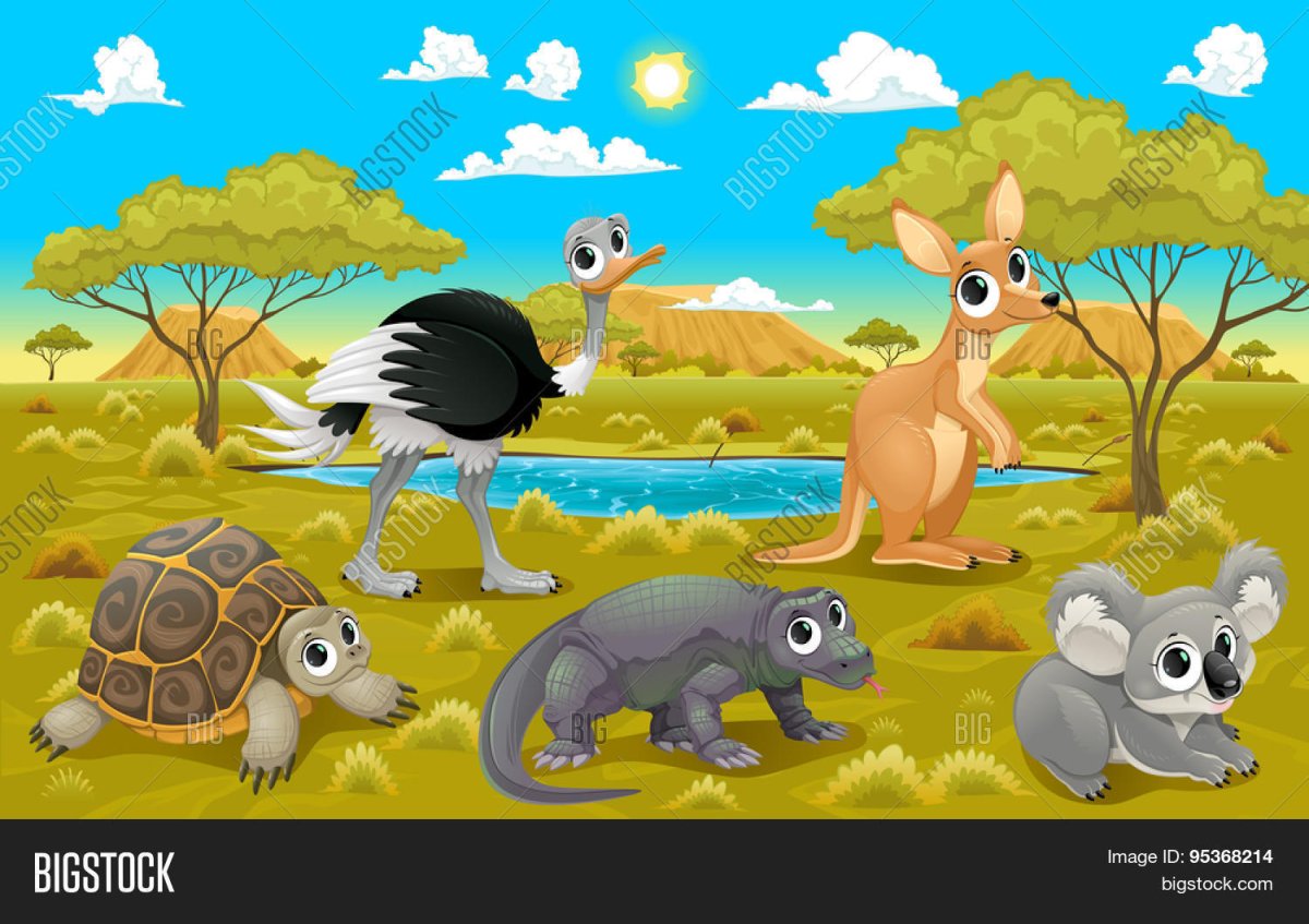 Кенгуру и коала рисунок