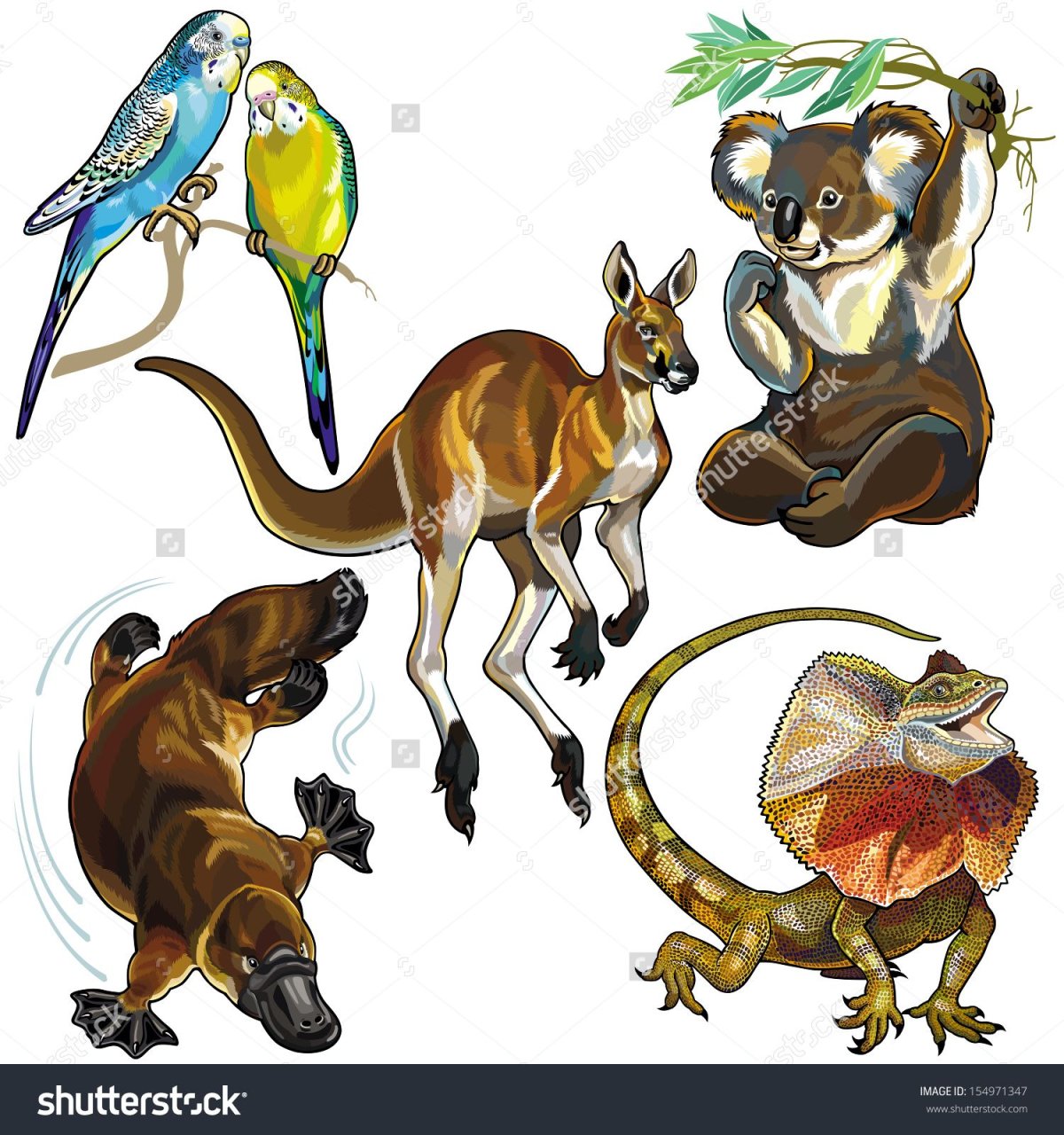 Кенгуру мама и малыш для детей