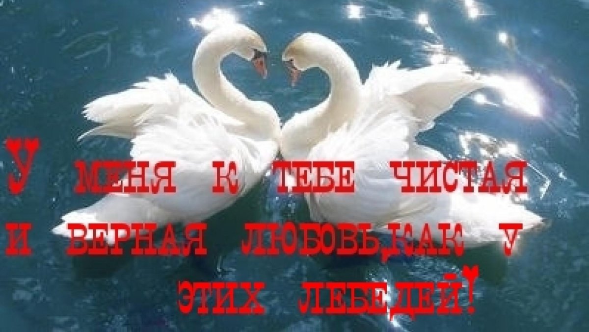 Поздравляю с годовщиной отношений