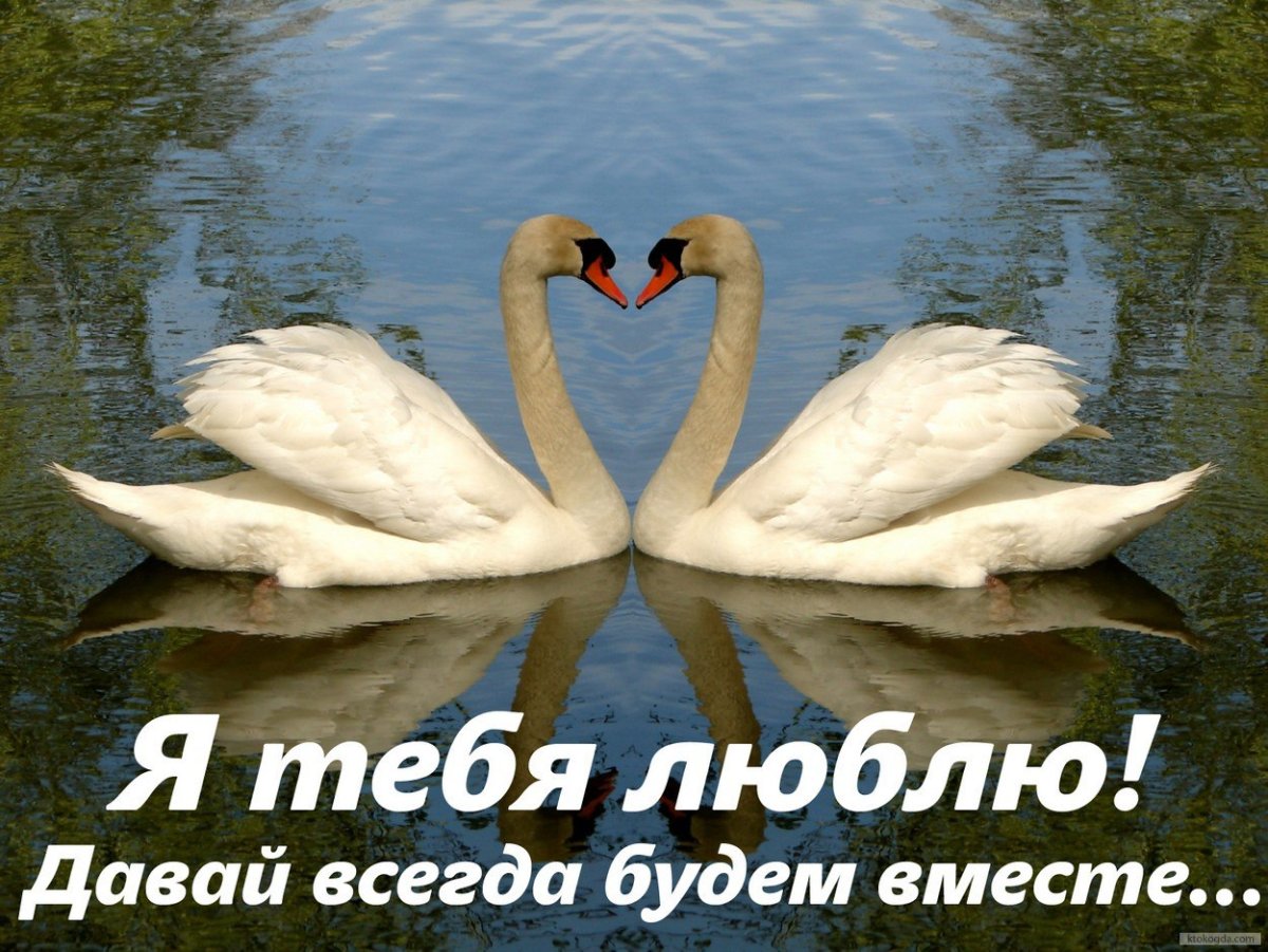 Тортик на годовщину свадьбы прикольные