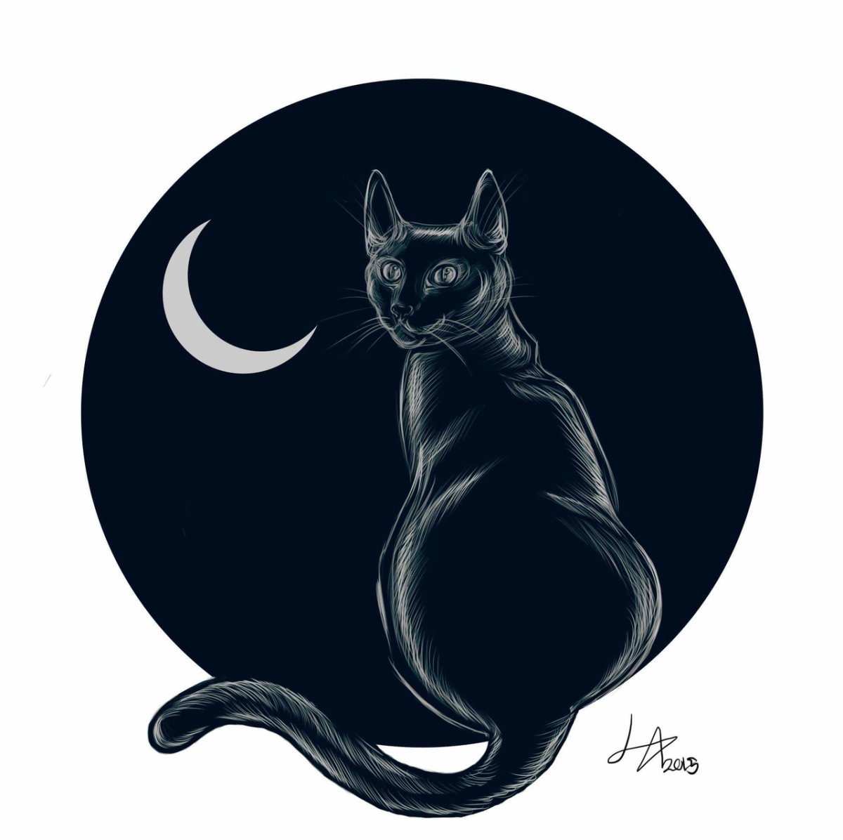 Кот на фоне Луны