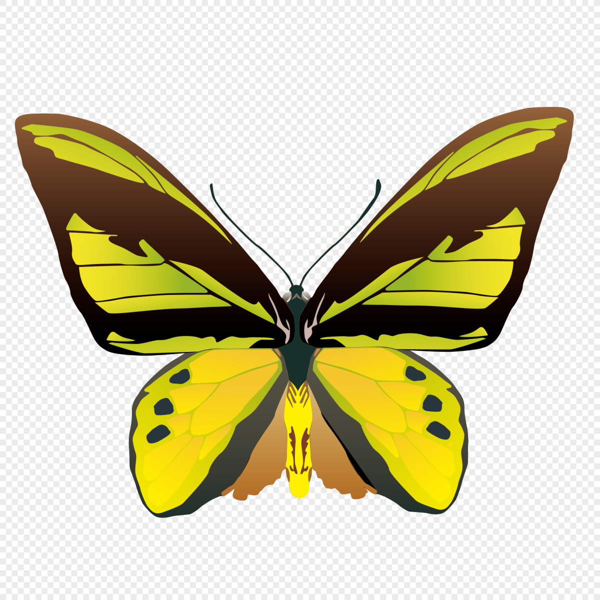 Жёлтая бабочка