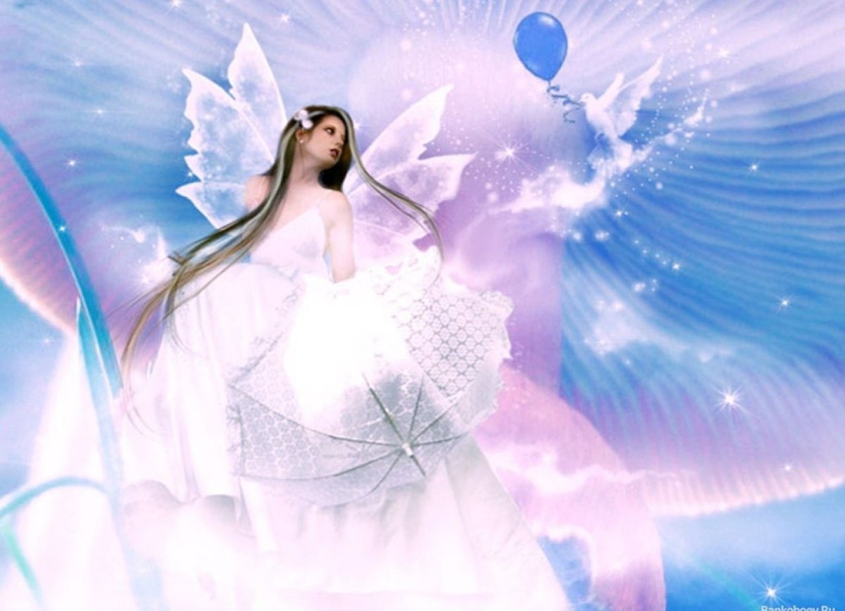 Доброе утро и хорошего дня ангел