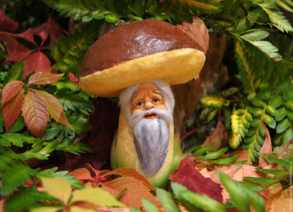 Эмблема Боровичка