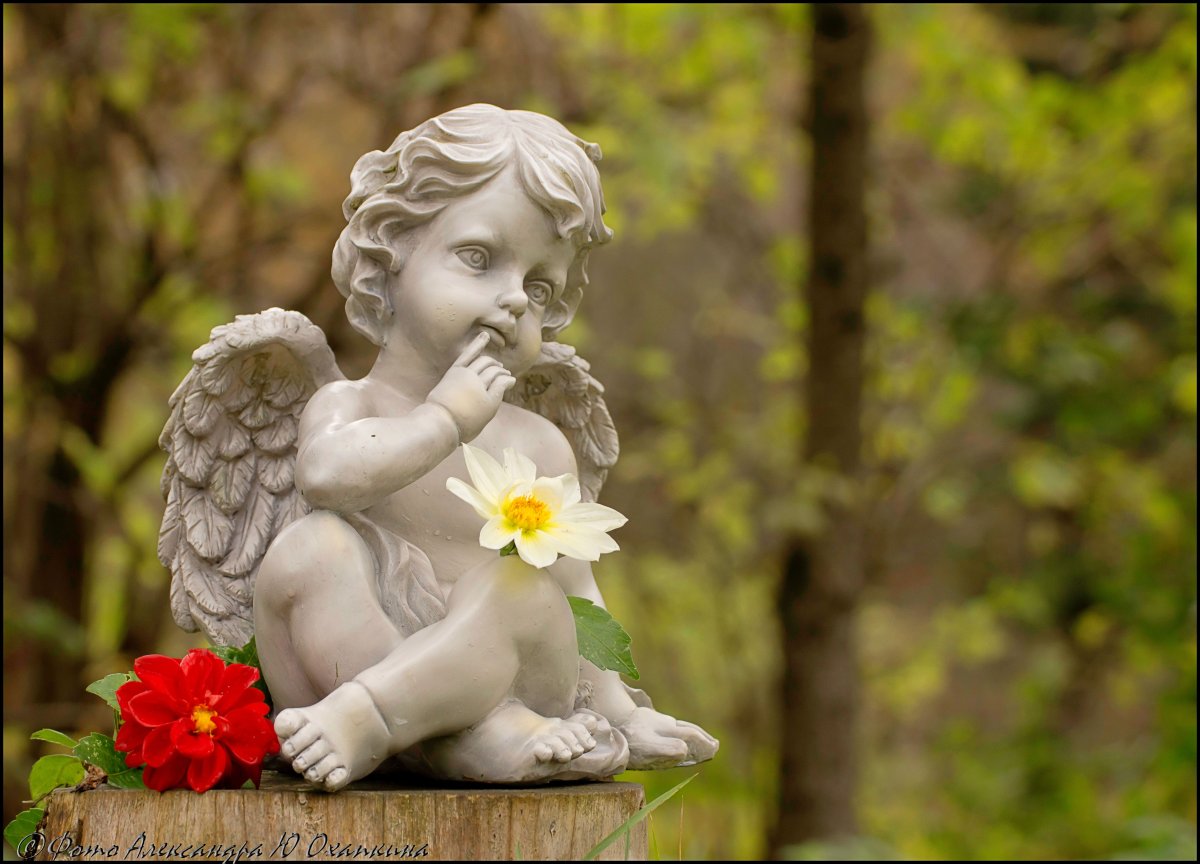 Ангелочек в цвете
