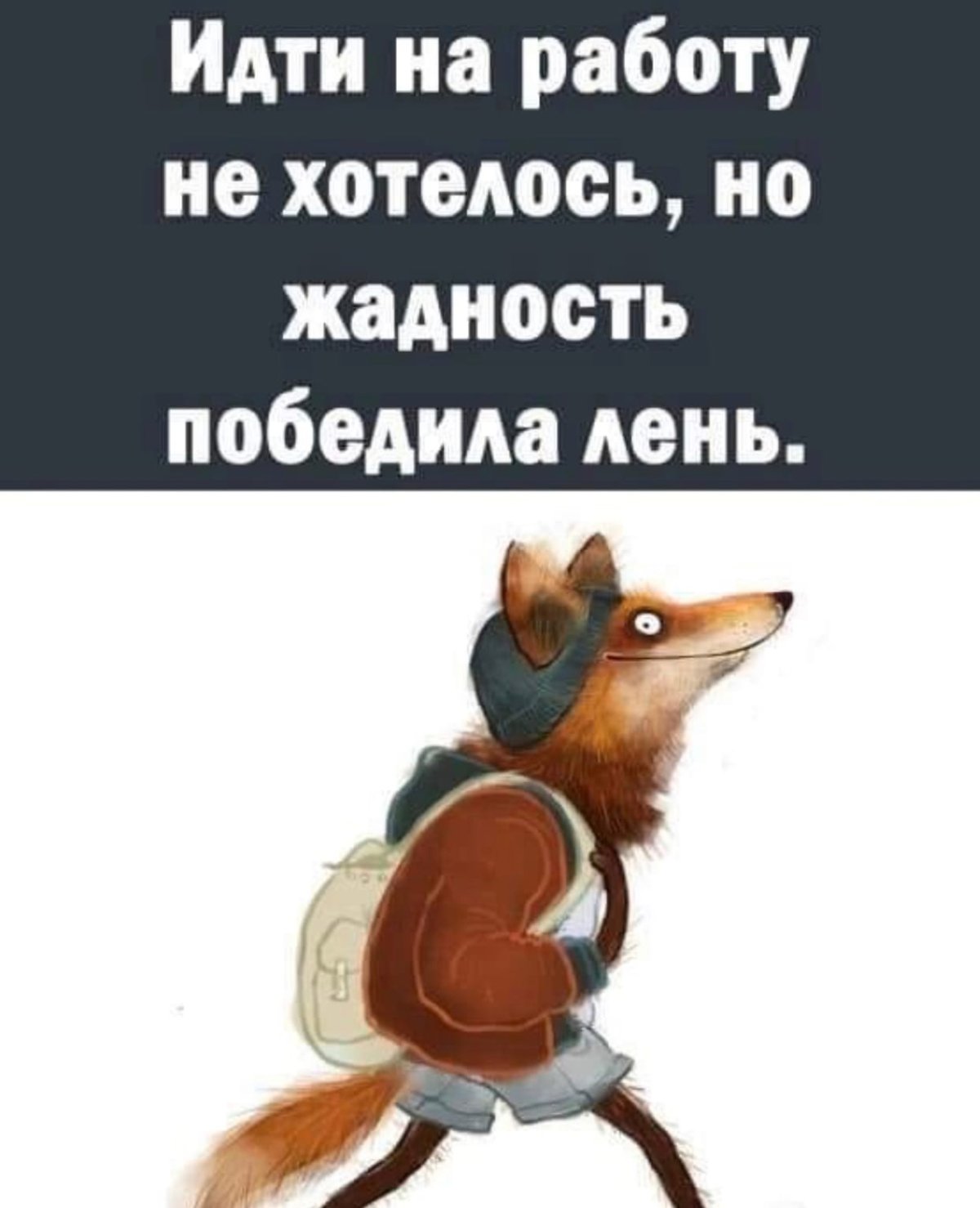 Жадный котик