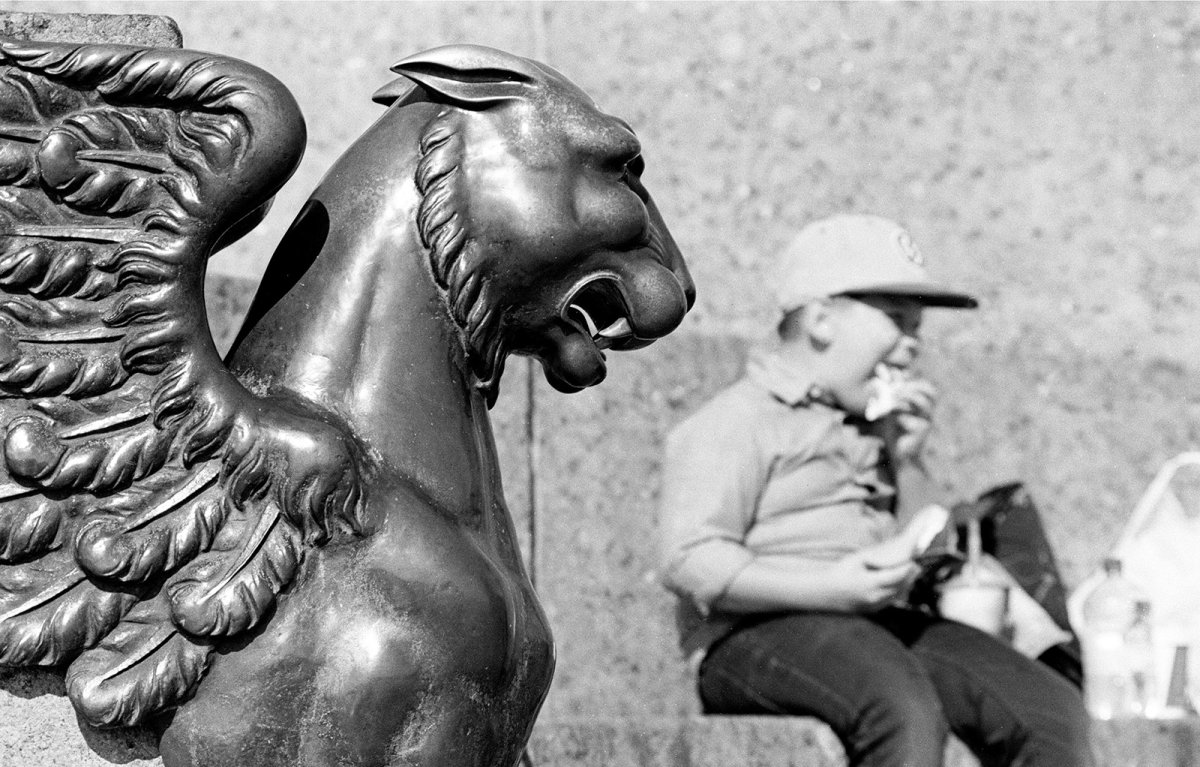 Жадина света фото