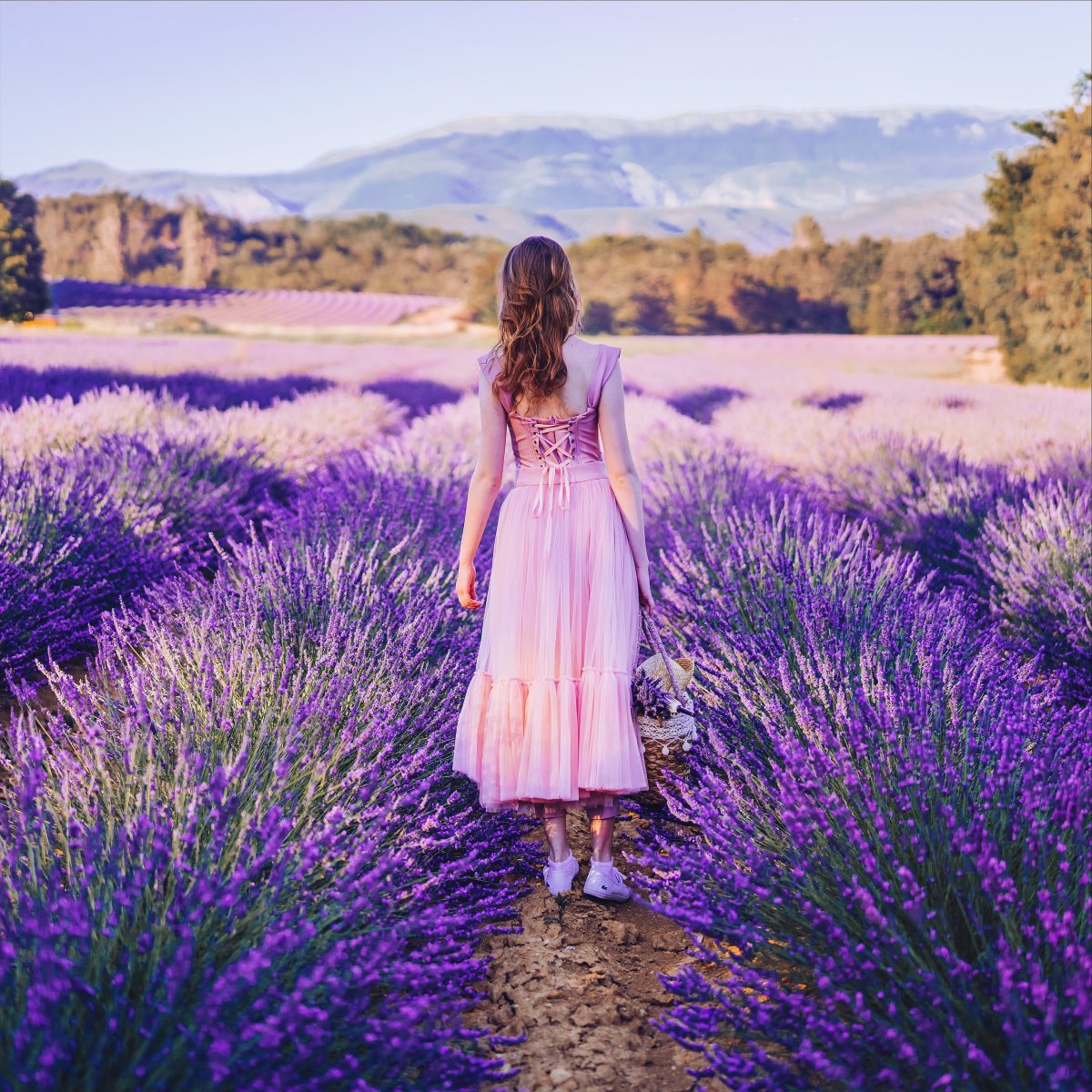 Букет Лаванда и розмарин