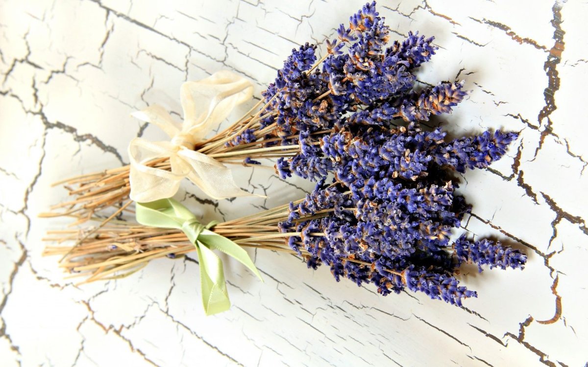 Лаванда для декупажа
