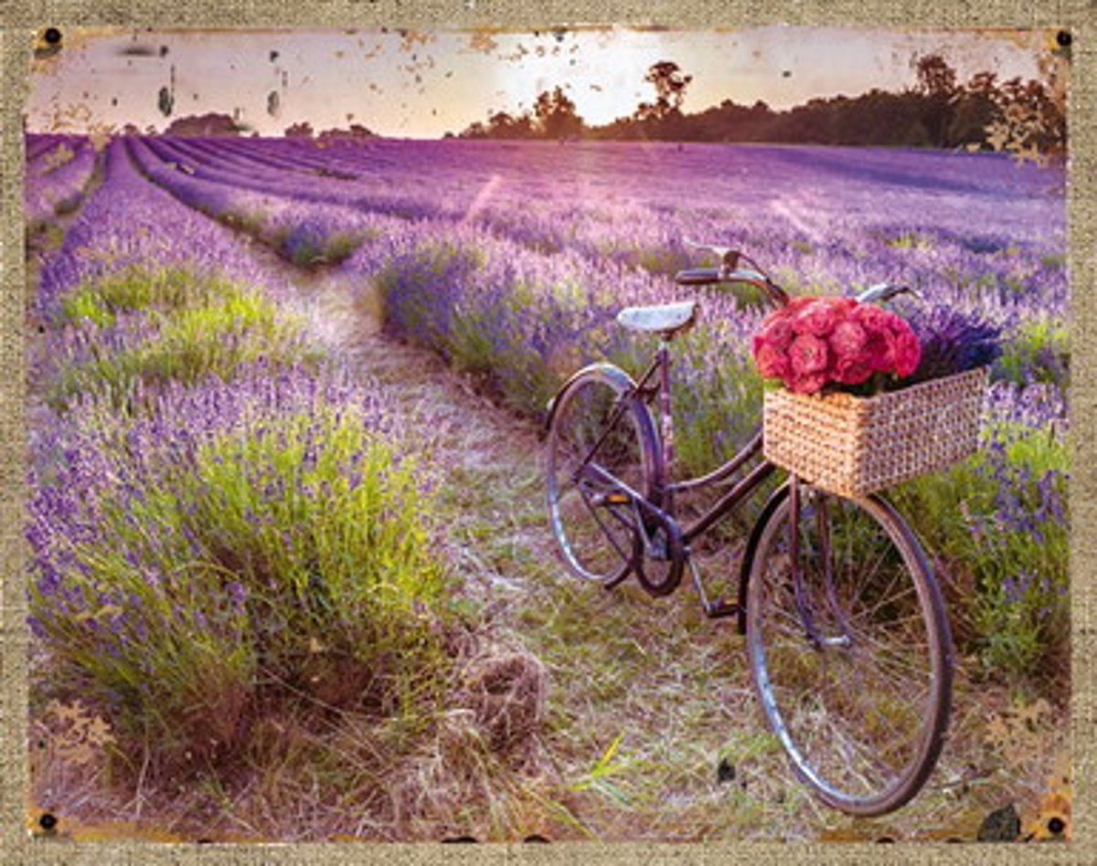 Лаванда в корзине