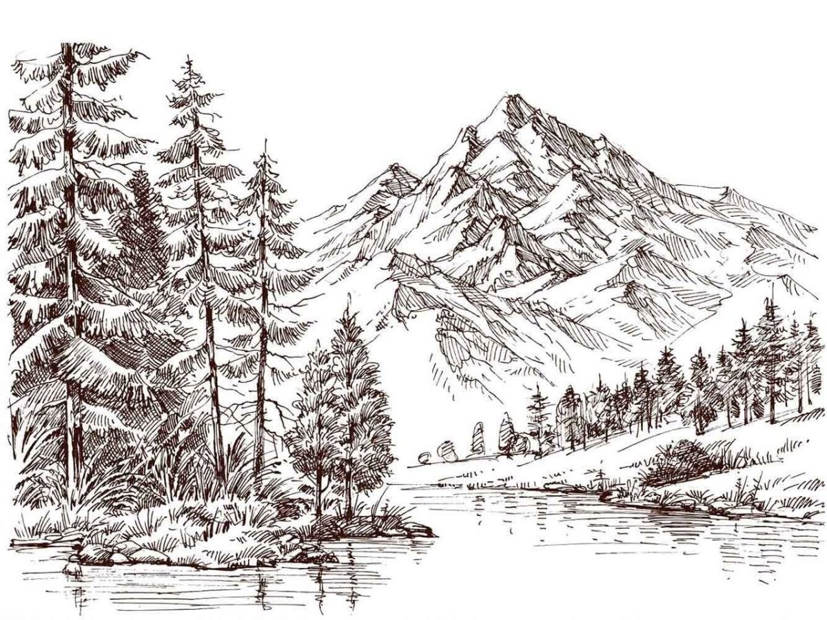 Таежные зарисовки