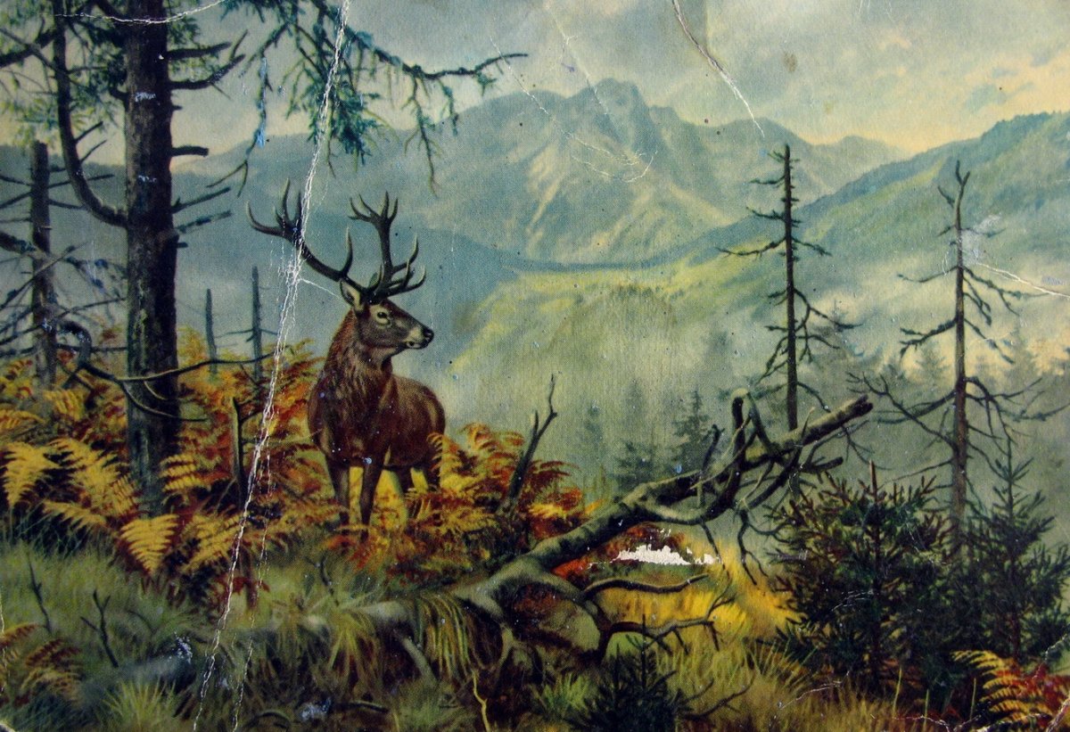 Олени в тайге живопись
