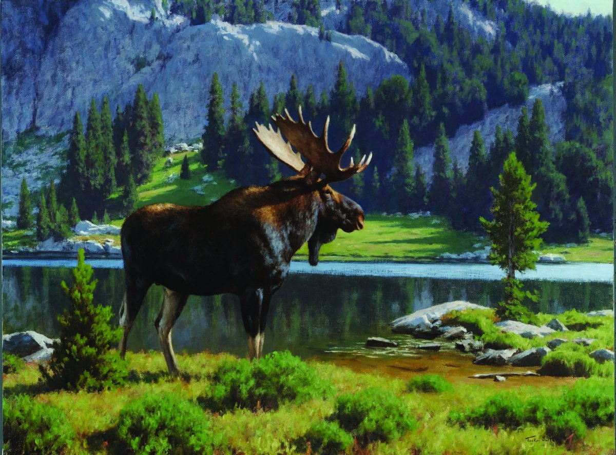 Художник - анималист Paul Krapf олени