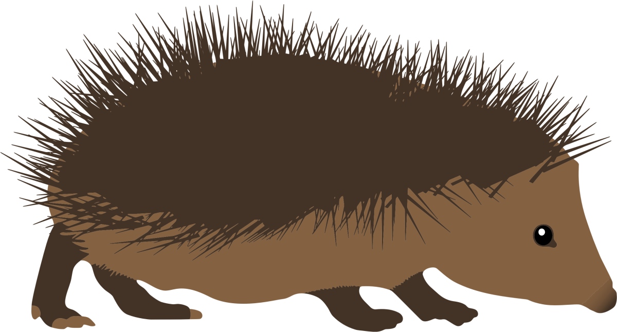 Белый Ежик мультик Дисней