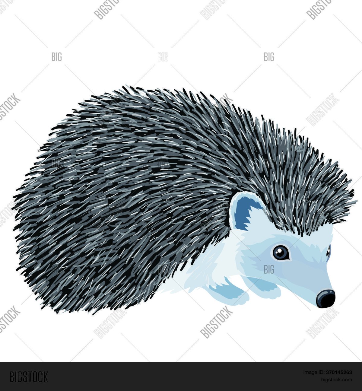 Ежик на белом фоне