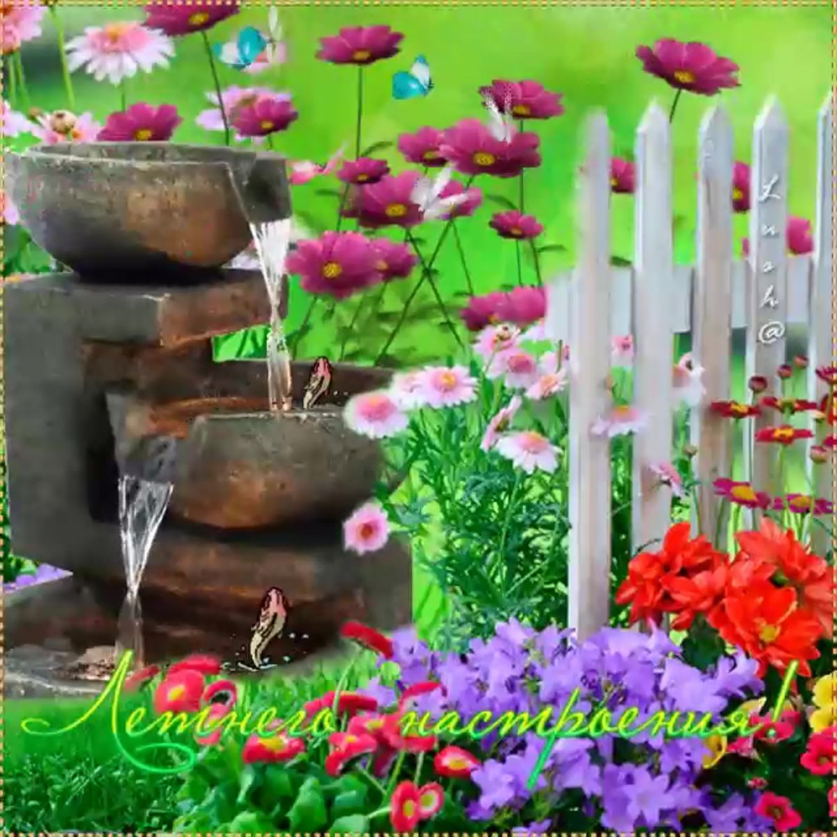 Летнее настроение