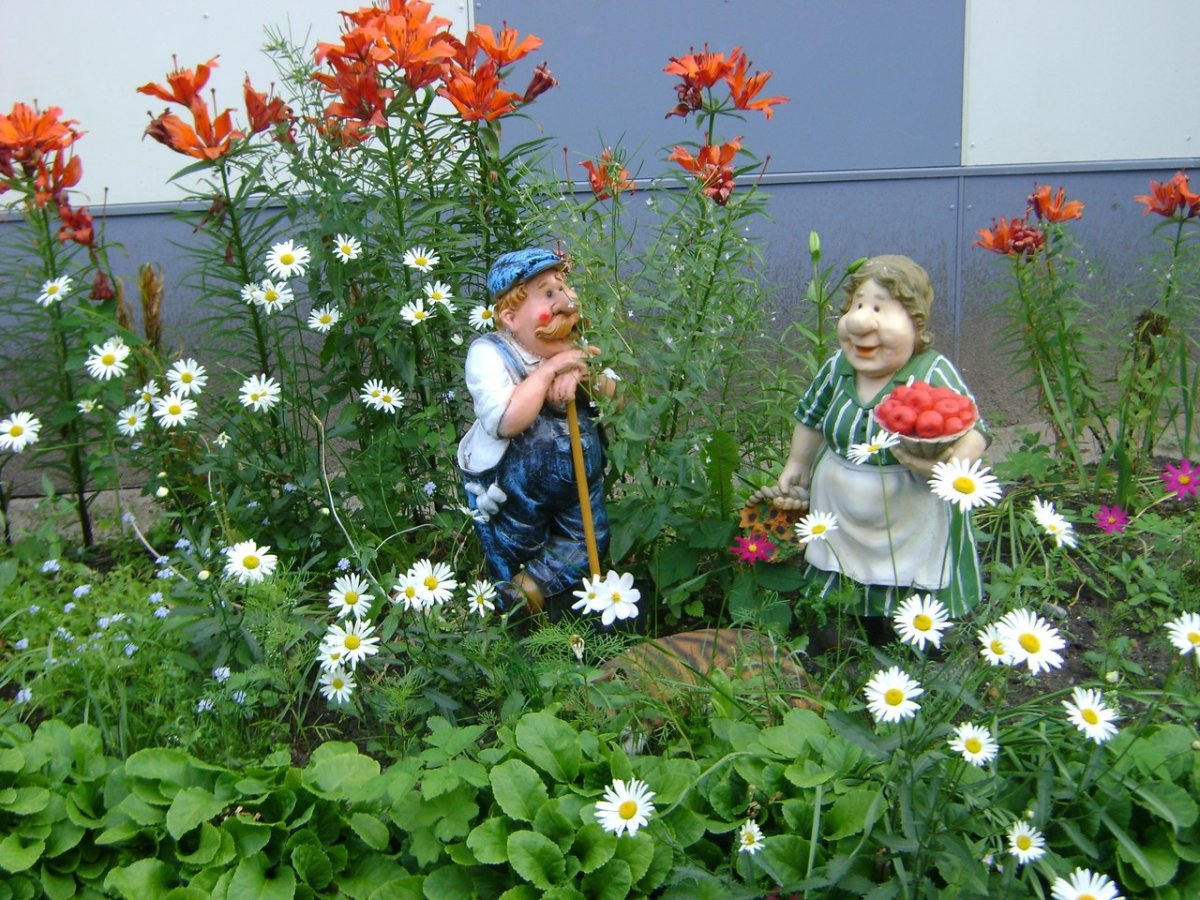 Удачи на даче