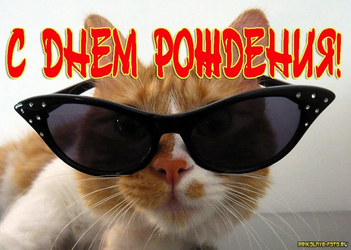 С днём рождения смешные