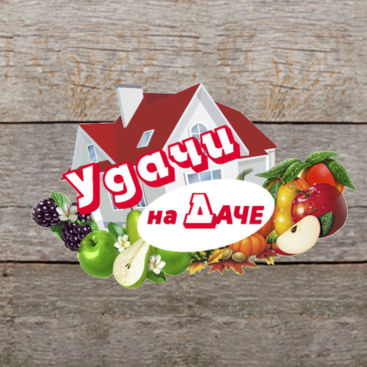 Дачная удача