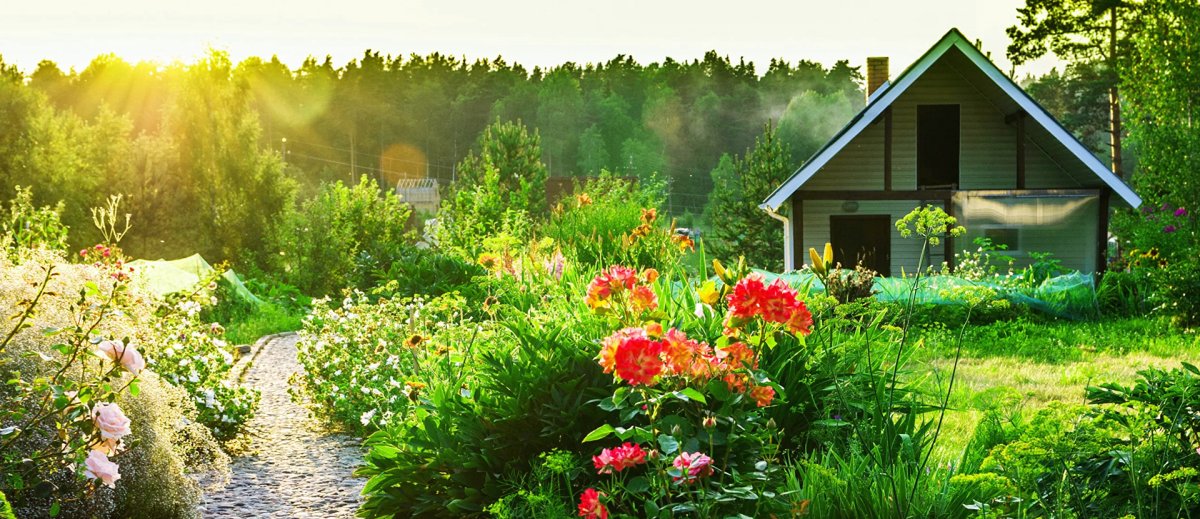 Приколы про огород и дачу