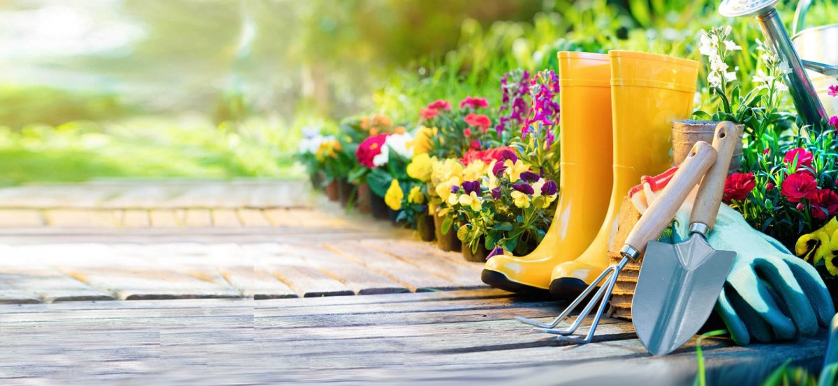 Пожелание удачи