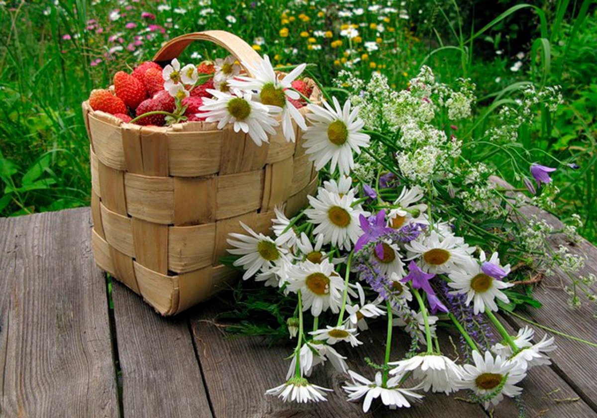 Дачный натюрморт