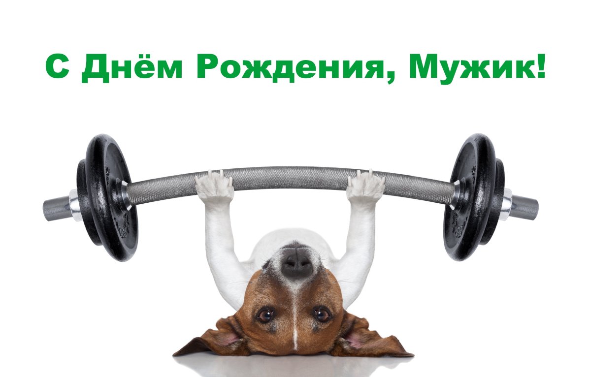 С днём рождения спортсмену