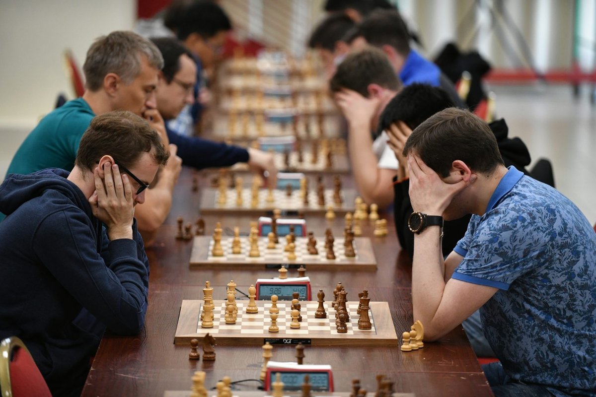 Турнир по шахматам взрослые