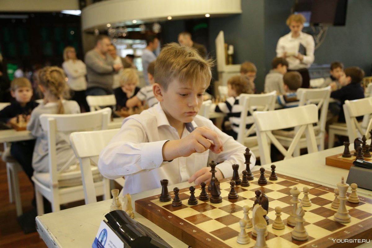 Федерация шахмат России