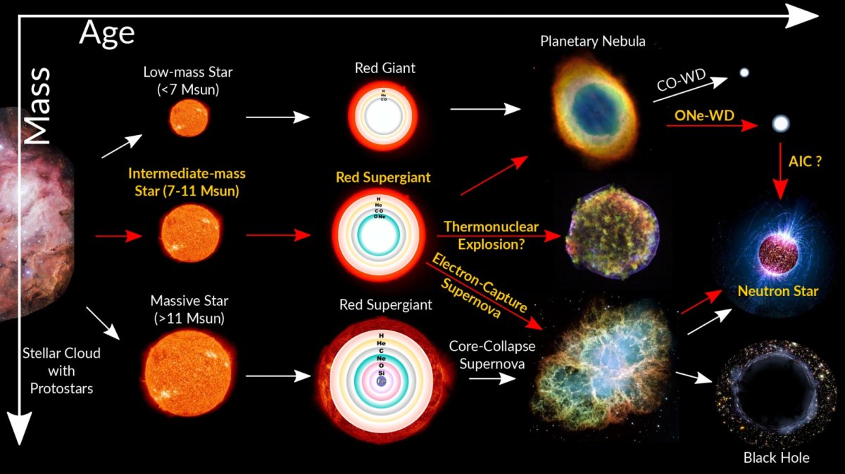 Эволюция звезд сверхгигантов