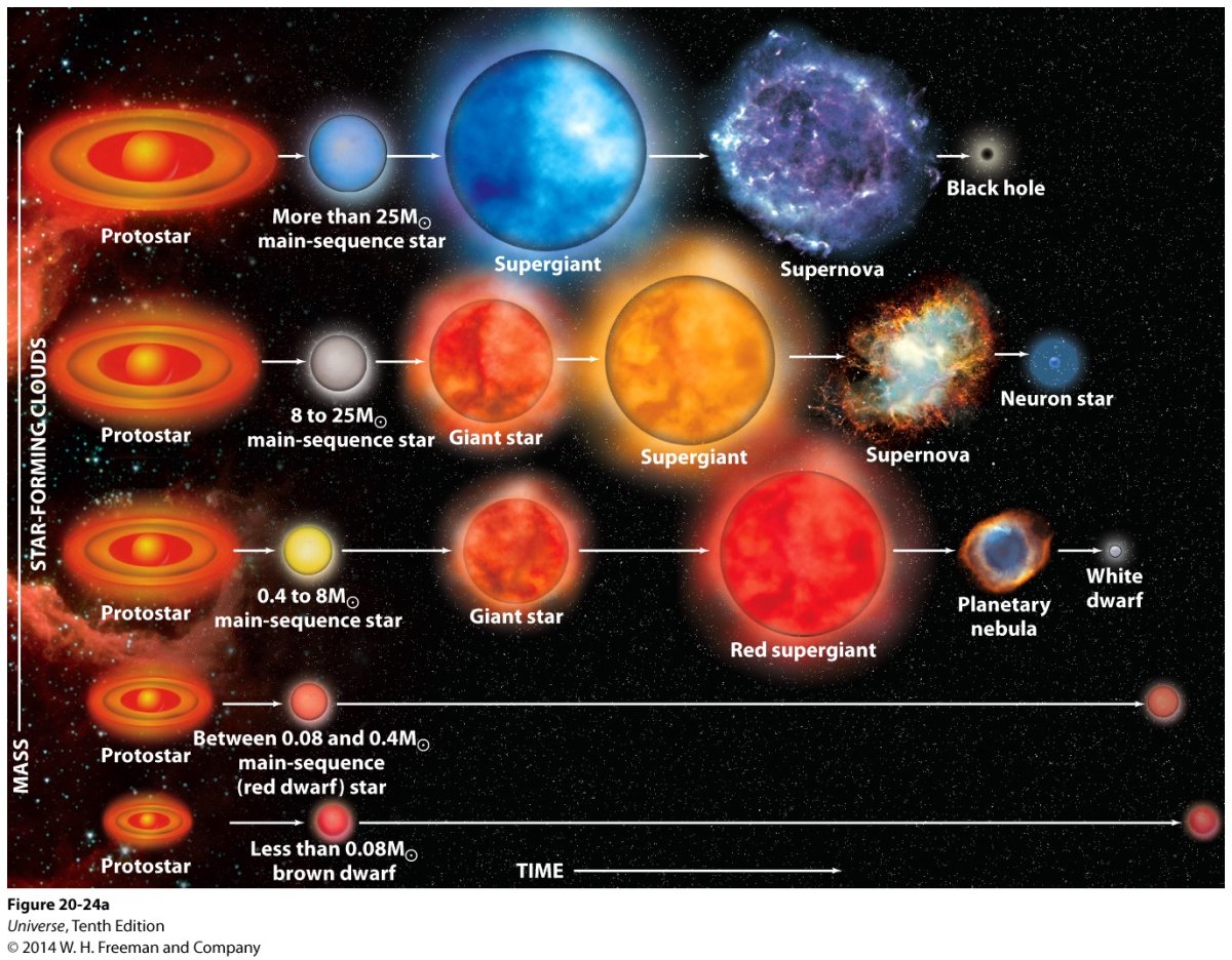 Этапы жизни звезды