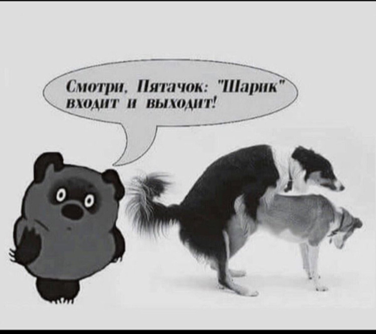 Молодежные шутки