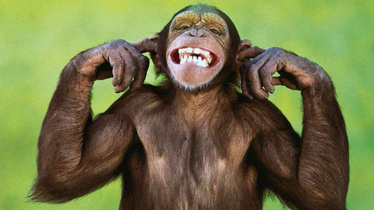 Смешные надписи для поднятия настроения