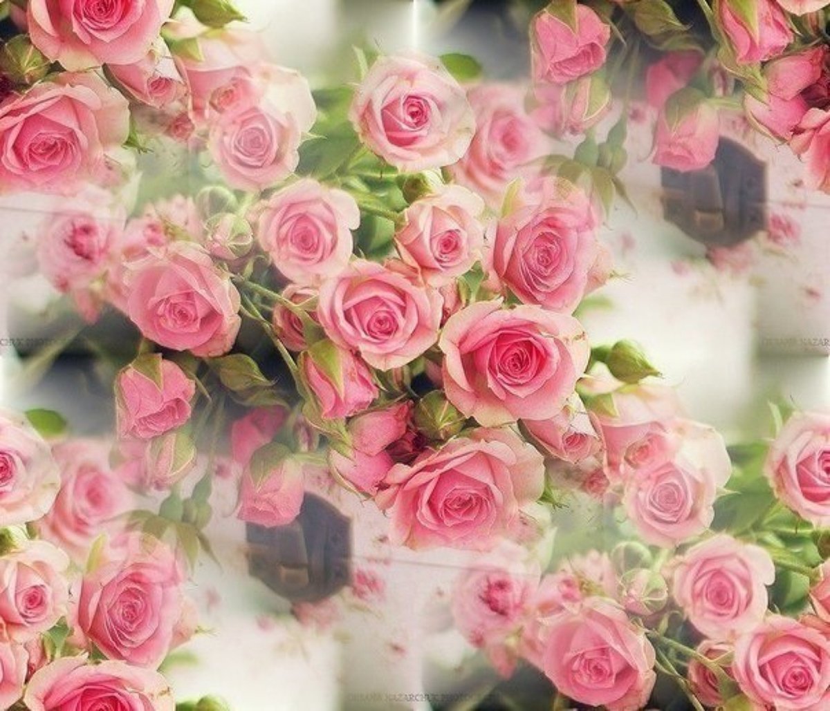 Лиза с днем рождения стихи