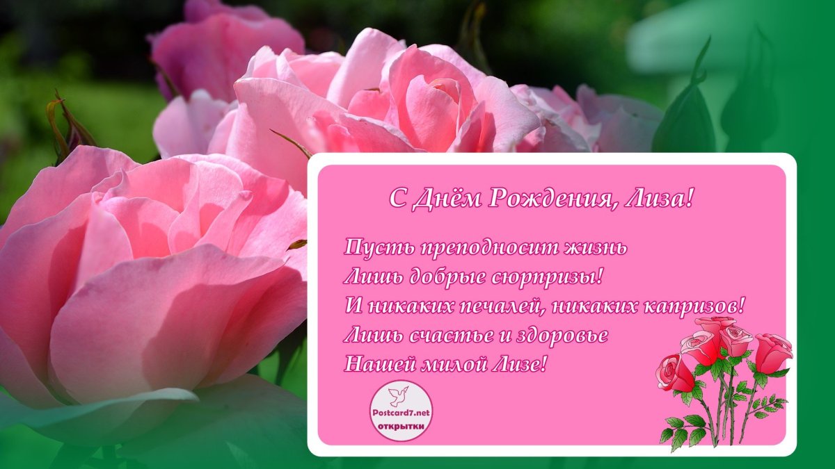 С днём рождения Елизавета