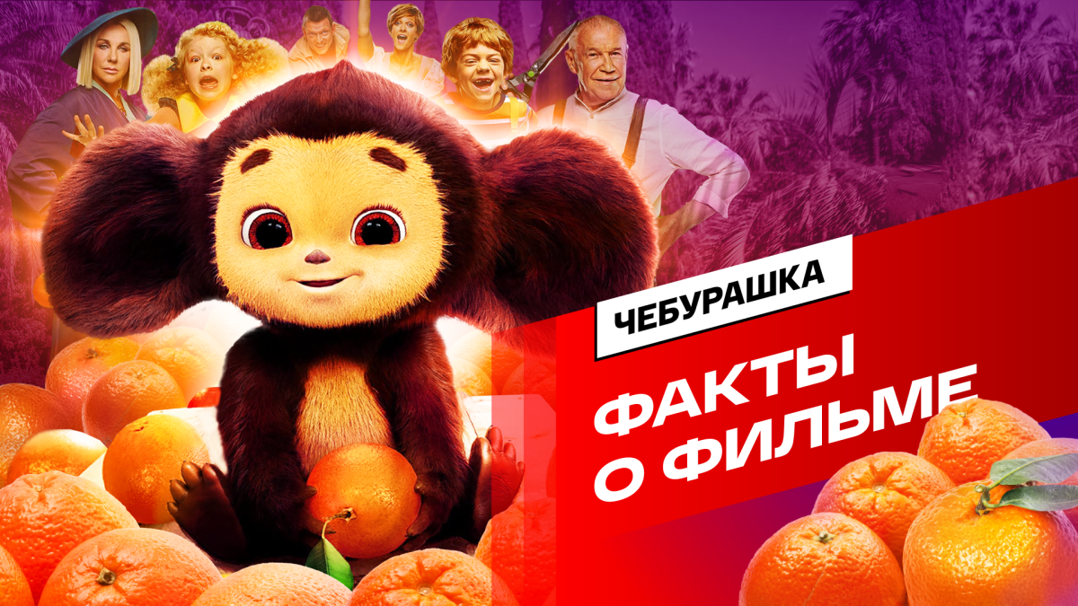 Чебурашка человек