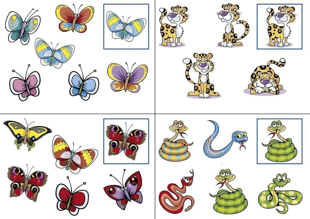 Найди пару для дошкольников