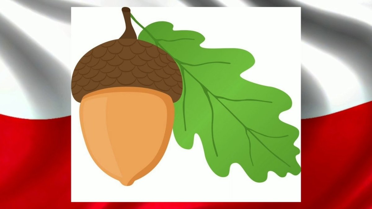 Желудь рисунок