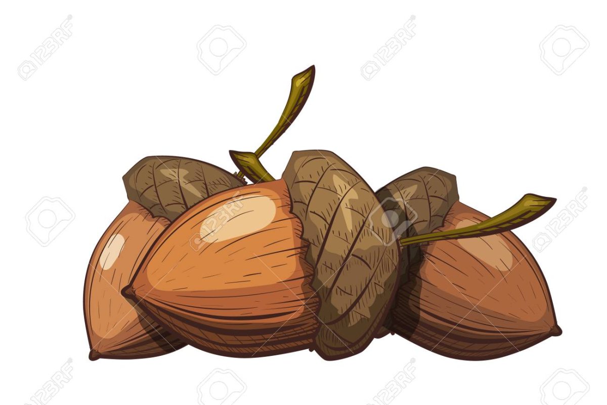 Желудь мультяшный