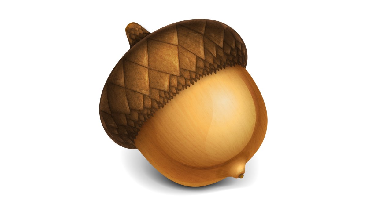 Ghianda Желудь