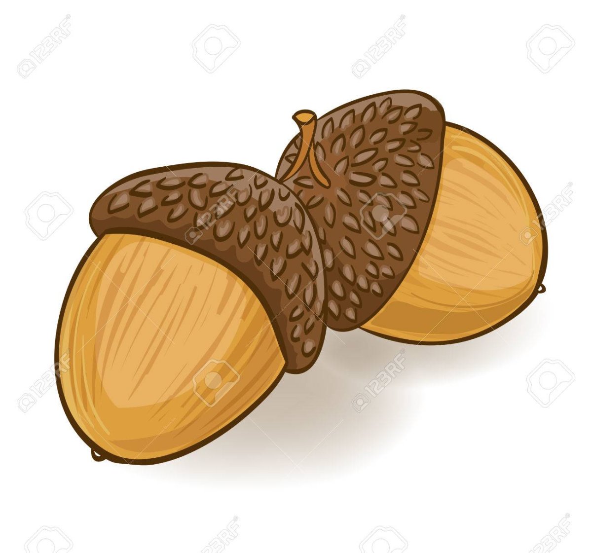 Желудь мультяшный